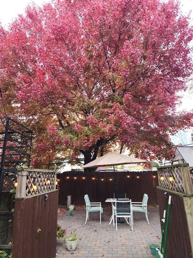 Magnolia Stay Near New York City Джърси Сити Екстериор снимка