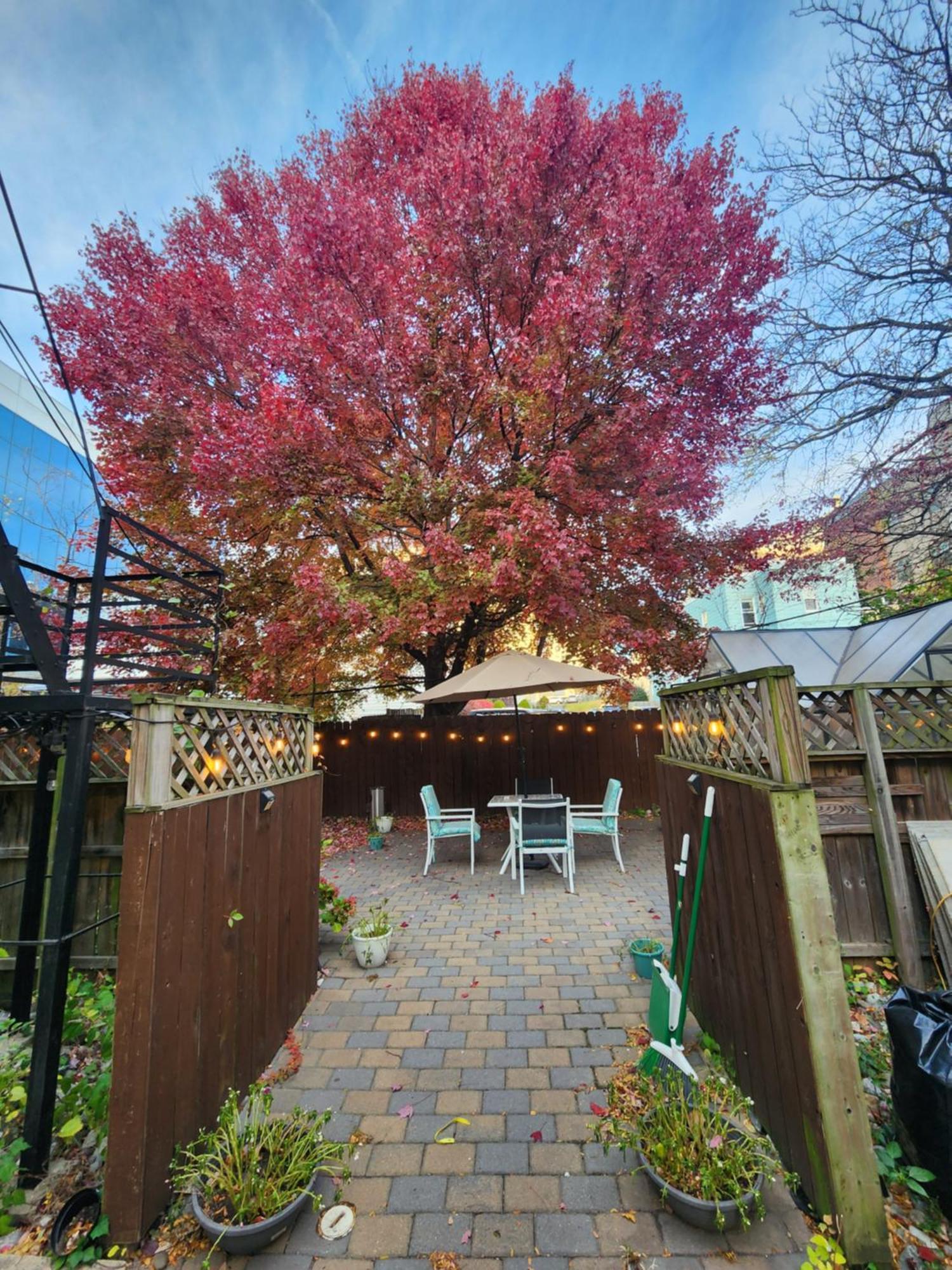 Magnolia Stay Near New York City Джърси Сити Екстериор снимка